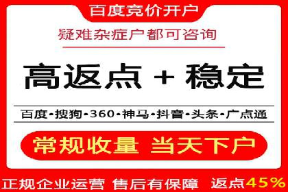 百度推广实战攻略：案例与策略